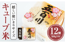 キューブ米 300g×12個（五百川）小分け お米 おこめ 米 コメ 白米 ご飯 ごはん おにぎり お弁当 ギフト【赤間農業開発株式会社】ta306