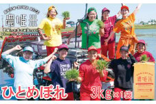 令和4年産農姫米(ひとめぼれ) 3kg×1袋 お米 おこめ 米 コメ 白米 ご飯 ごはん おにぎり お弁当【株式会社五十嵐商会】ta213