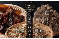七つ森ふもと舞茸  詰め合わせギフトセット Lサイズ まいたけ マイタケ きくらげ 乾燥舞茸 きのこセット 農家直送 天ぷら すき焼き 炊き込みご飯 宮城県産 ギフト 詰め合わせ【株式会社七つ森ふもと舞茸】ta327