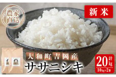 ＜令和6年産 新米＞お米農家直送！ササニシキ 20kg (10kg×2袋) お米 おこめ 米 コメ 白米 ご飯 ごはん おにぎり 宮城米 ささにしき 新米 令和6年産 お弁当【お米農家ろくすみファーム】 ta292