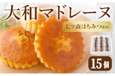 大和マドレーヌ 詰め合せ（15個） 焼き菓子 詰め合せ 洋菓子 焼菓子 おかし おやつ 【田園菓子工房シェフドリーム】ta187