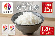 ＜12ヶ月定期便＞宮城県産 だて正夢 合計120kg (10kg×12回) お米 おこめ 米 コメ 白米 ご飯 ごはん 伊達 だてまさゆめ おにぎり お弁当 ブランド米 頒布会【株式会社パールライス宮城】ta338