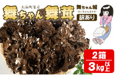 ＜訳あり＞ 舞ちゃん城 舞茸 2箱 (3kg以上) ta189【舞ちゃん城】