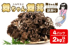＜訳あり＞ 舞ちゃん城 舞茸 石づき無し 4パック (2kg以上) ta190【舞ちゃん城】