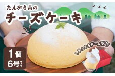 たんがら山のチーズケーキ 6号 焼き菓子 スフレ チーズケーキ 洋菓子 焼菓子 おかし おやつ 手土産 お土産 プレゼント 冷凍 【田園菓子工房シェフドリーム】ta353
