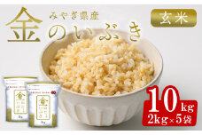宮城県産 金のいぶき 10kg 玄米 お米 おこめ 米 コメ ご飯 ごはん おにぎり お弁当 ブランド米 宮城米【株式会社パールライス宮城】ta393