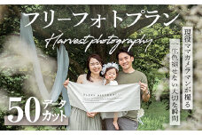  【宮城県大和町】フリーフォトプラン Harvest photography Sendai ロケーション マタニティ キッズ ファミリー  ペット 七五三 成人式 記念日 家族 思い出 カメラ 記念撮影【ハーベストフォトグラフィ】ta371