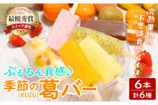 TVで話題！スイーツ部門 最優秀賞受賞！ぷるるん食感♪季節の葛(KUZU)バー 6本セット (6種) 葛バー くずバー アイス 葛アイス くずアイス スイーツ おかし 溶けないアイス 冷凍 【株式会社ウジエスーパー】ta413
