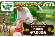 里山ドッグランサム 施設利用券 7,000円分 回数券 ドッグラン 7つのフィールド ドッグウォーク ペット 大型犬 中型犬 小型犬 自然 散歩【里山ドッグランサム】ta432