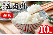＜令和7年産 新米 先行予約！2025年9月から順次発送予定＞ 五百川 10kg お米 おこめ 米 コメ 白米 早場米 極早生品種 ご飯 ごはん おにぎり お弁当【赤間農業開発株式会社】ta459