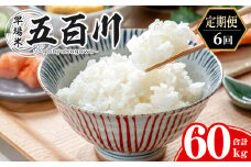 ＜6か月定期便＞ 五百川 合計60kg (10kg×6回) お米 おこめ 米 コメ 白米 早場米 極早生品種 ご飯 ごはん おにぎり お弁当 頒布会【赤間農業開発株式会社】ta463