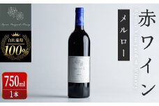 自社葡萄を使用した赤ワイン メルロー 750ml×1本 ラセリー了 ミディアムボディ ぶどう ブドウ アルコール ギフト 宮城県産 みらいファームやまと 【了美ワイナリー】ta466