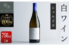 自社葡萄を使用した白ワイン シャルドネ 750ml×1本 ラセリー美 ドライ ぶどう ブドウ アルコール ギフト 宮城県産 みらいファームやまと 【了美ワイナリー】ta468