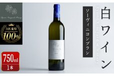 自社葡萄を使用した白ワイン ソーヴィニヨンブラン 750ml×1本 ラセリー美 ドライ ぶどう ブドウ アルコール ギフト 宮城県産 みらいファームやまと 【了美ワイナリー】ta469