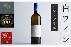 自社葡萄を使用した白ワイン モンドブリエ 750ml×1本 ラセリー美 ドライ ぶどう ブドウ アルコール ギフト 宮城県産 みらいファームやまと 【了美ワイナリー】ta470