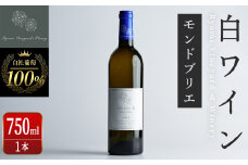 自社葡萄を使用した白ワイン モンドブリエ 750ml×1本 ラセリー美 ドライ ぶどう ブドウ アルコール ギフト 宮城県産 みらいファームやまと 【了美ワイナリー】ta470