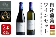 自社葡萄を使用したワインセット 750ml×2本 ピノノワール ソーヴィニヨンブラン 赤ワイン 白ワイン ミディアムボディ 辛口 ぶどう ブドウ アルコール ギフト 宮城県産 みらいファームやまと 【了美ワイナリー】ta497