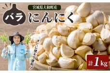 特選バラにんにく 1kg にんにく ニンニク ガーリック 六片種 ばら ホワイト おつまみ 健康 食品 料理 産地直送 宮城県 大和町 【株式会社ファーム沢渡】ta500