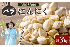 特選バラにんにく 3kg にんにく ニンニク ガーリック 六片種 ばら ホワイト おつまみ 健康 食品 料理 産地直送 宮城県 大和町 【株式会社ファーム沢渡】ta501