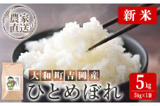 ＜先行予約！2025年9月下旬から順次発送予定＞【令和7年産 新米】お米農家直送！ひとめぼれ 5kg お米 おこめ 米 コメ 白米 ご飯 ごはん おにぎり 宮城米 新米 令和7年産 お弁当 【お米農家ろくすみファーム】 ta523