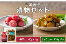 三浦屋の漬物2種セット 青唐しょうゆ漬け きゅうりちゃん(120g×3袋) 昔ながらのしょっぱい梅干し(160g×1個) 青唐辛子 きゅうり漬け うめぼし 梅 塩 赤しそ 漬物 漬け物 おかず おつまみ お茶請け お弁当 ご飯のお供 ピリ辛 【三浦屋】ta529