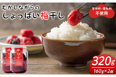 昔ながらのしょっぱい梅干し 160g×2個 うめぼし 梅 塩 赤しそ 漬物 漬け物 おかず お弁当 ご飯のお供 【三浦屋】ta526