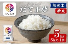 ＜先行予約！2025年11月から順次発送予定＞【令和7年産 新米】宮城県産 だて正夢 無洗米 5kg お米 おこめ 米 コメ 白米 ご飯 ごはん 伊達 だてまさゆめ おにぎり ブランド米 5kg【株式会社パールライス宮城】ta356