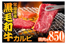 宮城県産 黒毛和牛カルビ焼肉用 850g｜国産 牛肉 バーベキュー [0050]