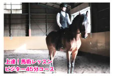 上達！馬術レッスン・ビジター45分コース｜東北 宮城 仙台 乗馬 チケット クーポン 入場券 体験 レジャー [0088]