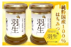 アイリスアグリ 純粋国産100%はちみつ (大郷町産) 羽生 110g×2本｜宮城県 大郷町 はにゅう ハチミツ 蜂蜜 [0159]