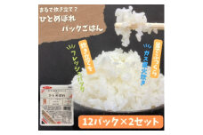 ＜パックご飯＞炊きたてをフレッシュパック　ひとめぼれ12入　2セット【1026745】