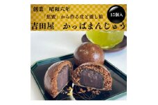 ＜昭和6年創業＞かっぱのふるさと色麻(しかま)町　かっぱまんじゅう15個【1309177】
