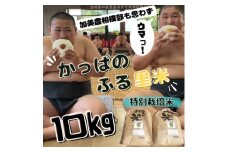 ＜特別栽培米＞かっぱのふる里米(ひとめぼれ)精米10kg【1357818】