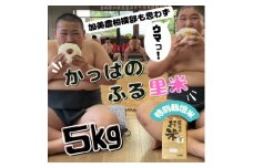 ＜特別栽培米＞かっぱのふる里米(ひとめぼれ)精米5kg【1357819】