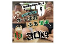 ＜特別栽培米＞かっぱのふる里米(ひとめぼれ)精米30kg【1357820】