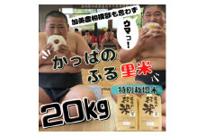 ＜特別栽培米＞かっぱのふる里米(ひとめぼれ)精米20kg【1357822】