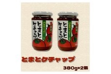 とまとケチャップ　380g×2個　宮城県　色麻町【1593056】