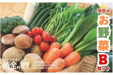 黄金の郷 季節のお野菜 お楽しみBセット / 野菜 やさい セット 詰め合わせ 旬 新鮮 産地直送 朝採れ ※配送不可地域あり