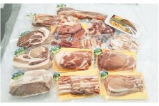 宮城県涌谷町産三元豚ブロックと焼肉セット