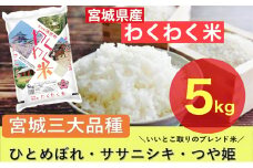 宮城県産三大銘柄いいとこ取りブレンド米 わくわく米 5kg×1袋入 計5kg ◆｜ お米 精米 白米 ひとめぼれ ササニシキ つや姫 宮城県産 三大銘柄