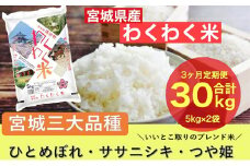 【3ヶ月定期便】宮城県産三大銘柄いいとこ取りブレンド米 わくわく米 5kg×2袋入 計30kg ◆｜ 定期便・ お米 精米 白米 ひとめぼれ ササニシキ つや姫 宮城県産 三大銘柄