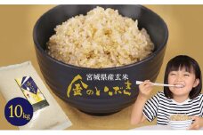金のいぶき 玄米 10kg | 米 お米 こめ 玄米 ご飯 ライス 産地直送 数量限定 ブランド米 玄米食 送料無料 ※2024年11月上旬頃より順次発送予定