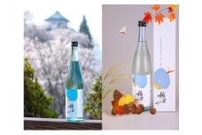 【あら茶屋】令和6年産 純米大吟醸『稀世』 新酒・秋上がりセット（オリジナル缶バッチ付き）| 酒 お酒 地酒 アルコール 日本酒 銘酒 純米酒 人気 限定 コラボ ＜新酒：2025年4月下旬頃より順次発送、秋上がり：2025年9月下旬より順次発送＞