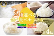 【つや姫・だて正夢】いとうファームの令和6年産 2品種を選べる！食べ比べセットB 計4kg ※2024年10月下旬より順次発送予定