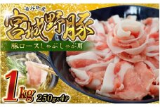 ☆農林水産大臣賞受賞☆ 涌谷町産 宮城野ポーク 豚切り落とし 1㎏ (250g×4P) | 豚肉 豚 ぶた肉 豚肉切り落とし 国産豚 小分け 小間切れ 細切れ こま切れ 人気 豚肉 銘柄豚【sari006】