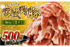 ☆農林水産大臣賞受賞☆ 涌谷町産 宮城野ポーク 豚切り落とし 500g (250g×2P)  | 豚肉 豚 ぶた肉 豚肉切り落とし 国産豚 小分け 小間切れ 細切れ こま切れ 人気 豚肉 銘柄豚【sari007】