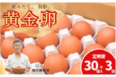 【定期便】 産みたて新鮮卵 30個入り 3か月 定期便 | 卵 たまご 玉子 鶏卵 新鮮 濃厚 生卵 赤玉たまご 目玉焼き オムレツ 健康 産地直送 ※沖縄・離島への配送不可【aubless023】