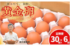 【定期便】 産みたて新鮮卵 30個入り 6か月 定期便 | 卵 たまご 玉子 鶏卵 新鮮 濃厚 生卵 赤玉たまご 目玉焼き オムレツ 健康 産地直送 ※沖縄・離島への配送不可【aubless024】