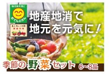 お任せ野菜セット（8品～12品）  / 野菜 やさい セット 詰め合わせ 旬 新鮮 産地直送 朝採れ