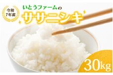 いとうファームの令和7年産「ササニシキ」白米 30kg（30kg×1袋） ※2025年11月より順次発送予定
